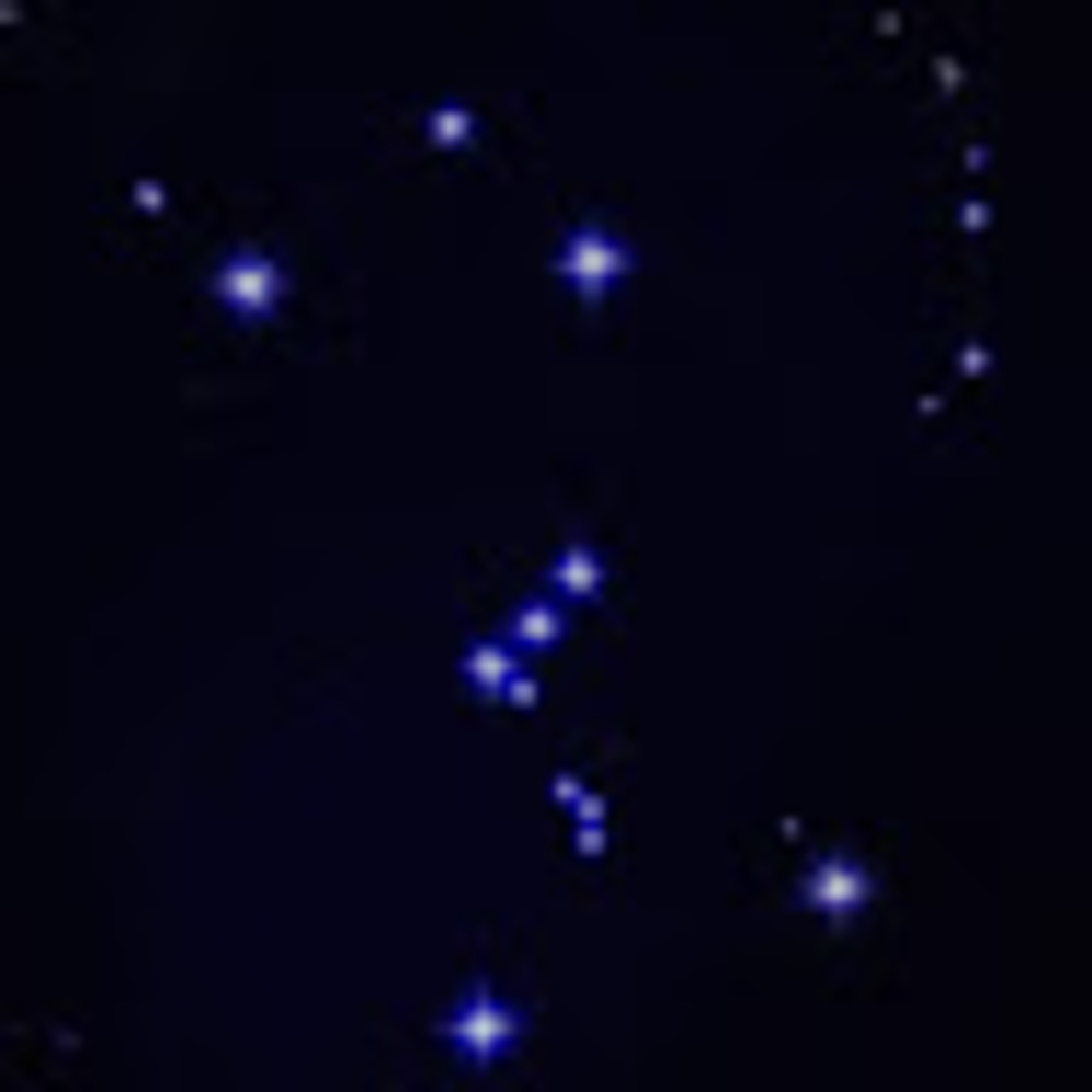 Meet your Posher, Joshua